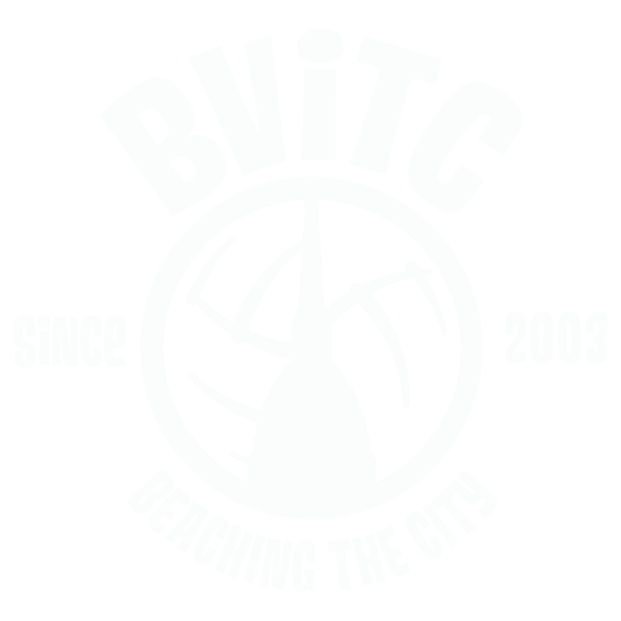 BViTC